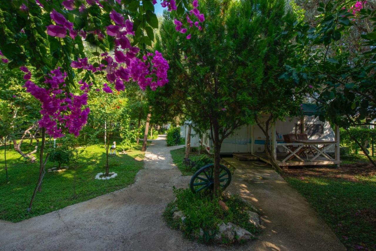 S3 Seahorse Beach Club Oludeniz Exterior photo